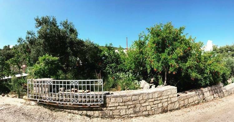 Faros Oasis Appartement Gdinj Buitenkant foto